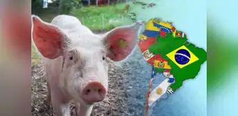 El país de América Latina con el mayor consumo de cerdo en toda la región: supera a Brasil y Argentina