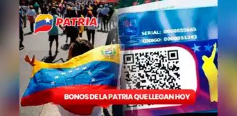 Nuevos Bonos de la Patria ACTIVOS, 9 de agosto 2024: fechas de pago, montos oficiales y últimas NOTICIAS
