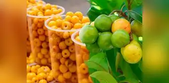 Esta es la fruta, considerada como 'alimento de oro', que reduce las arrugas y puedes consumirla como batido Esta es la fruta, considerada como 'alimento de oro', que reduce las arrugas y puedes consumirla como batido