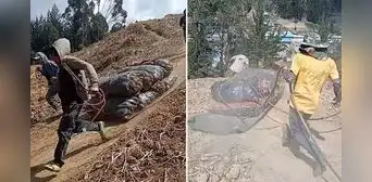 Agricultores peruanos emplean ingeniosa técnica para mover sacos de papas y dicen: “Valen un Perú” Agricultores peruanos emplean ingeniosa técnica para mover sacos de papas y dicen: “Valen un Perú”
