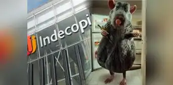 Publicidad de Win no es competencia desleal contra Claro y Telefónica: Indecopi declara infundada denuncia