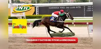 Traqueos y datos 5y6 La Rinconada HOY, 11 de agosto: así quedaron los pronósticos de Gaceta Hípica y Cordialito