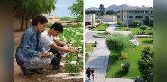 La universidad más grande del Perú superó a la UNMSM y la UNI: está presente en la Costa, Sierra y Selva La universidad más grande del Perú superó a la UNMSM y la UNI: está presente en la Costa, Sierra y Selva