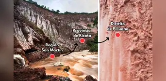 El tesoro de la selva peruana que data desde hace 200 millones de años: se utiliza en el tacacho y la cecina