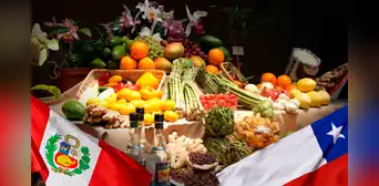 Perú superaría a Chile en exportación agrícola en 2027: estos son los productos más solicitados Perú superaría a Chile en exportación agrícola en 2027: estos son los productos más solicitados