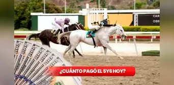 ¿Cuánto pagó el 5y6 de La Rinconada HOY, 11 de agosto? Así quedó el MONTO SELLADO y los DIVIDENDOS del INH