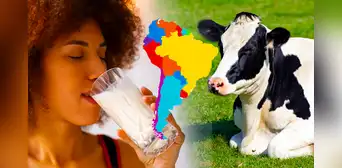 Descubre el país de América Latina que consume más leche de vaca en la región y se ubica en el top 5 del mundo