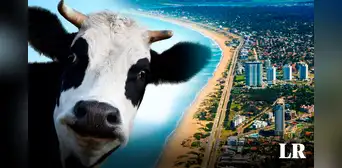 El país de Sudamérica con mayor número de vacas por habitante en el MUNDO: tiene casi 4 por persona El país de Sudamérica con mayor número de vacas por habitante en el MUNDO: tiene casi 4 por persona