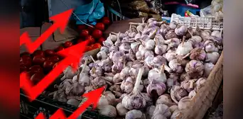 Sube precio del ajo en el Perú: ¿cuánto cuesta el kilo en Lima y regiones? Sube precio del ajo en el Perú: ¿cuánto cuesta el kilo en Lima y regiones?