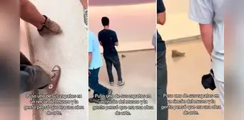 Joven coloca su zapatilla vieja y sucia en un rincón del museo y visitantes la confunden con una pieza de arte