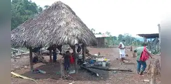 Ucayali: Reportan muertes de ashéninkas por infecciones respiratorias Ucayali: Reportan muertes de ashéninkas por infecciones respiratorias