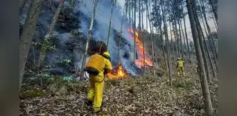 Senamhi advierte riesgo de incendios forestales en Cusco, Puno, Arequipa y otras 10 regiones hasta el 19 de agosto