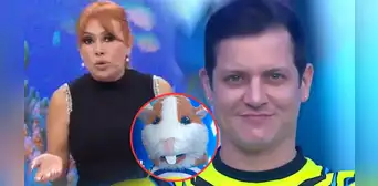 Magaly Medina ridiculiza a Gino Pesaressi tras su regreso a ‘Esto es guerra’ y lo compara: "Más simpatía tenía el cuy" Magaly Medina ridiculiza a Gino Pesaressi tras su regreso a ‘Esto es guerra’ y lo compara: "Más simpatía tenía el cuy"