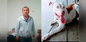 Policía asesina a balazos a perrita delante de su dueña adolescente en Lambayeque Policía asesina a balazos a perrita delante de su dueña adolescente en Lambayeque