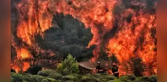 Van 1.855 incendios forestales y sequía amenaza 13 regiones Van 1.855 incendios forestales y sequía amenaza 13 regiones