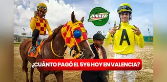 ¿Cuánto pagó el 5y6 HOY, 17 de agosto, en Valencia? Monto sellado, cuadros con 6 y dividendos del Hinava vía INH TV ¿Cuánto pagó el 5y6 HOY, 17 de agosto, en Valencia? Monto sellado, cuadros con 6 y dividendos del Hinava vía INH TV