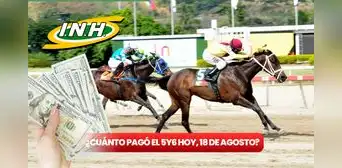 ¿Cuánto pagó el 5y6 La Rinconada del domingo 18 de agosto? Monto sellado, cuadros con 6 aciertos y dividendos del INH ¿Cuánto pagó el 5y6 La Rinconada del domingo 18 de agosto? Monto sellado, cuadros con 6 aciertos y dividendos del INH