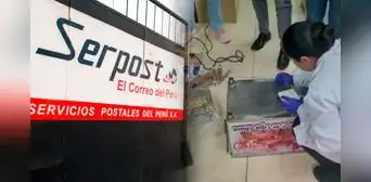 Desarticulan banda que enviaba droga en caja china con destino a Italia: incautación fue en Serpost