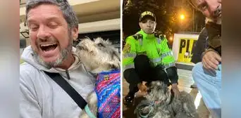 Lucho Cáceres encuentra a familia de perrito perdido y agradeció apoyo de joven policía: "Volvió a su hogar" Lucho Cáceres encuentra a familia de perrito perdido y agradeció apoyo de joven policía: "Volvió a su hogar"