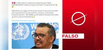 La OMS no “ordenó" a gobiernos prepararse para un “megaconfinamiento” por la viruela del mono La OMS no “ordenó" a gobiernos prepararse para un “megaconfinamiento” por la viruela del mono