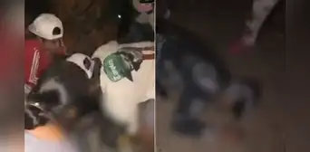 Sicarios asesinan a escolar en Piura luego de haberlo confundido con su primo, según PNP Sicarios asesinan a escolar en Piura luego de haberlo confundido con su primo, según PNP