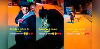 Perrito conmueve al llevar a su dueña en estado de ebriedad a su casa: “Firulais quiere dormir”
