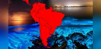 El único país de SUDAMÉRICA donde el MAR BRILLA y alberga una especie en peligro de extinción