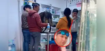 Falso veterinario, denunciado por negligencia, opera en San Martín de Porres