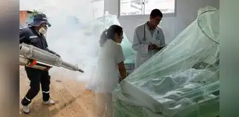 Casos de dengue en 2024 alcanzan el pico más alto de los 3 últimos años con más de 260.000 contagios