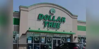 Dollar Tree: estos son los 5 productos para adultos mayores que puedes encontrar desde US$1.25 en Estados Unidos