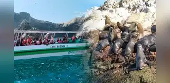 ¿Realmente fuiste a Islas Ballestas o era Isla Blanca? Cómo diferenciarlas y así evitar estafas durante tu viaje ¿Realmente fuiste a Islas Ballestas o era Isla Blanca? Cómo diferenciarlas y así evitar estafas durante tu viaje