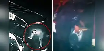 Cúster se vuelca tras accidente de tránsito en Ate y delincuentes aprovechan para sustraer autopartes Cúster se vuelca tras accidente de tránsito en Ate y delincuentes aprovechan para sustraer autopartes