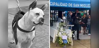 San Miguel despidió a Rocket, el perrito más querido del distrito: “Se fue sintiéndose amado”