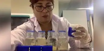 La guerra contra el dengue se desarrolla ahora en laboratorios