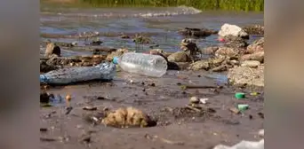 El país de América Latina que tiene los ríos más contaminados: mueren 900 niños al año por enfermedades El país de América Latina que tiene los ríos más contaminados: mueren 900 niños al año por enfermedades