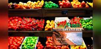 CalFresh en California 2024: estos son los residentes que recibirán $1.720 dólares en septiembre CalFresh en California 2024: estos son los residentes que recibirán $1.720 dólares en septiembre