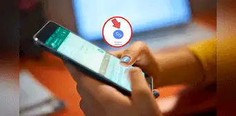 ¿No aparece la vista previa al compartir un video de TikTok en WhatsApp? Aquí la solución ¿No aparece la vista previa al compartir un video de TikTok en WhatsApp? Aquí la solución