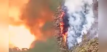 Jaén en llamas: provocan ola de incendios forestales bajo excusa de práctica ancestral para 'atraer la lluvia' Jaén en llamas: provocan ola de incendios forestales bajo excusa de práctica ancestral para 'atraer la lluvia'