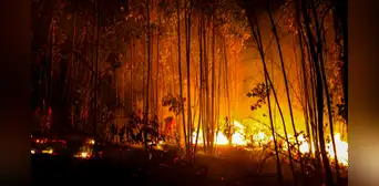 Se reportan en Ecuador al menos 12 incendios forestales en 7 provincias: “Concentraciones de partículas dañinas” Se reportan en Ecuador al menos 12 incendios forestales en 7 provincias: “Concentraciones de partículas dañinas”