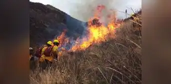Incendios arrasan miles de hectáreas de bosques y cultivos Incendios arrasan miles de hectáreas de bosques y cultivos