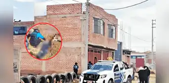 Perrito alerta a vecinos sobre el deceso de su dueño: adulto mayor muere al caer del tercer piso en Puno