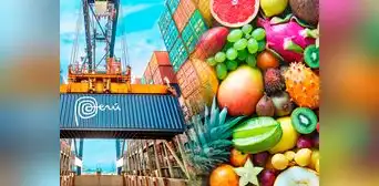 Estas son las 3 frutas ricas en vitaminas que lideran la agroexportación del Perú al mundo: superan las 100 mil toneladas