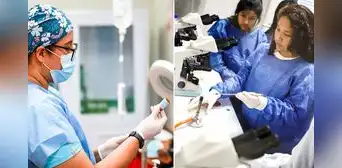 Inician las inscripciones para el Serums 2024-II, conoce el cronograma y requisitos del Minsa Inician las inscripciones para el Serums 2024-II, conoce el cronograma y requisitos del Minsa