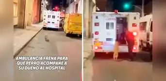 Perrito corre tras ambulancia que lleva a su dueño al hospital, chofer frena y lo suben a vehículo: “Amigo fiel” Perrito corre tras ambulancia que lleva a su dueño al hospital, chofer frena y lo suben a vehículo: “Amigo fiel”