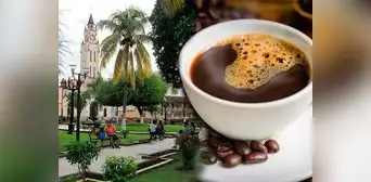 Reconocida cafetería abrió su primera tienda en la selva peruana: ¿en qué lugar se ubica? Reconocida cafetería abrió su primera tienda en la selva peruana: ¿en qué lugar se ubica?
