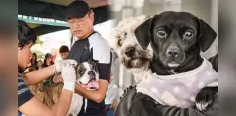 Campaña de veterinaria gratis en estos distritos de Lima este 14 de septiembre, horario y ubicación
