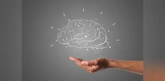 Este es el mejor suplemento natural para mejorar la memoria, según Harvard: también previene el cáncer y Alzheimer Este es el mejor suplemento natural para mejorar la memoria, según Harvard: también previene el cáncer y Alzheimer
