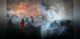 Incendios forestales en Amazonas dejan 7 muertos y arrasan con hábitat de oso andino Incendios forestales en Amazonas dejan 7 muertos y arrasan con hábitat de oso andino