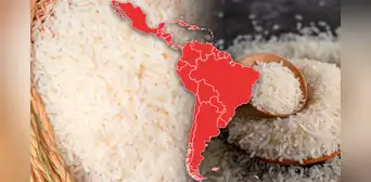 El país de América Latina que consume más arroz del mundo: superó como el más 'arrocero' a Perú y España El país de América Latina que consume más arroz del mundo: superó como el más 'arrocero' a Perú y España