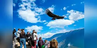 Turismo receptivo crece más de 39% hasta agosto Turismo receptivo crece más de 39% hasta agosto